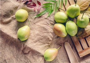 玉露香梨价格一般多少钱一斤 种植前景如何